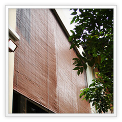 Celebrity | Completed | Design & Build  | Side