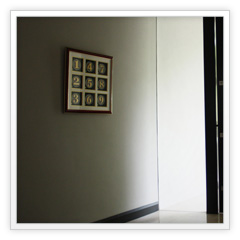 Celebrity | Completed | Design & Build  | Door