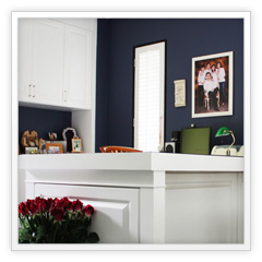 Celebrity | Completed | Design & Build  | Study