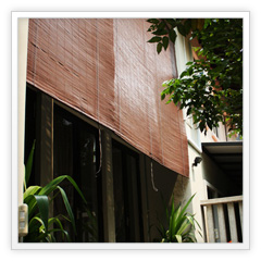 Celebrity | Completed | Design & Build  | Side